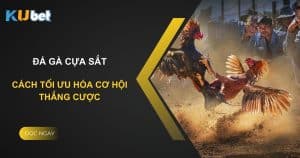 Đá gà cựa sắt tại Kubet: Cách tối ưu hóa cơ hội thắng cược