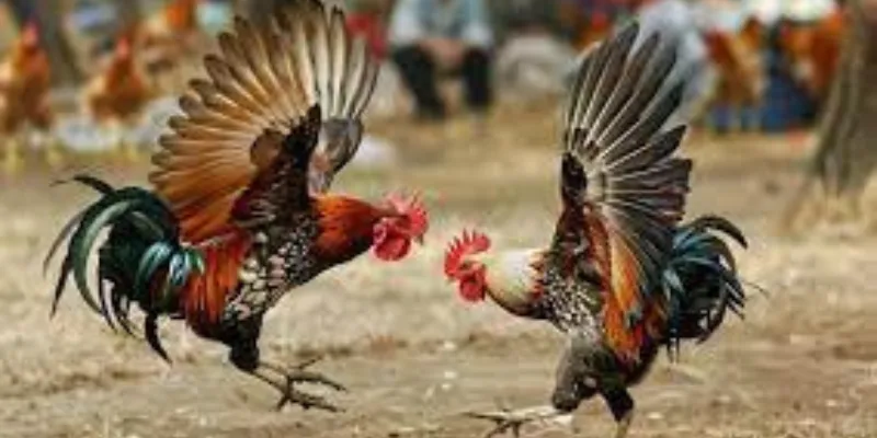 Kinh nghiệm để chiến thắng