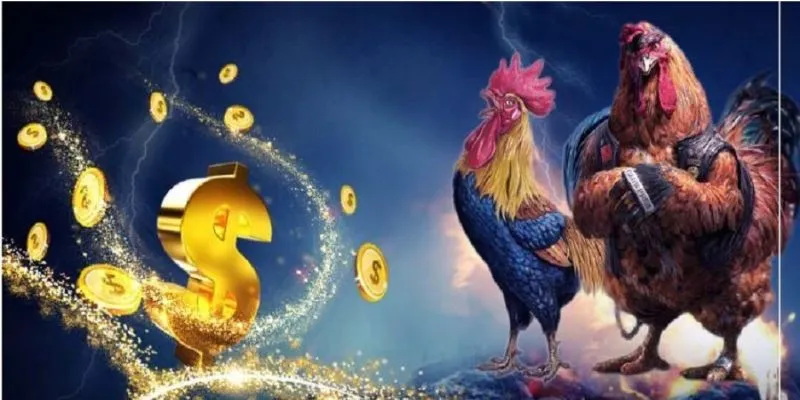Các loại gà đá phổ biến và cách cược đá gà hiệu quả